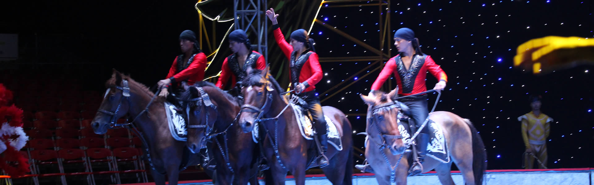 马戏表演