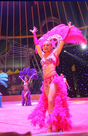 ����ɣ��