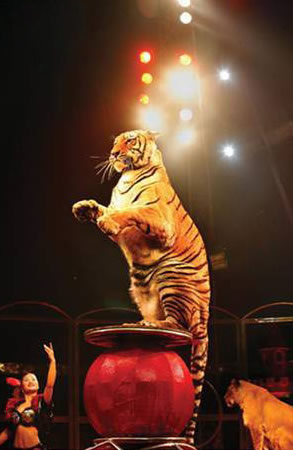 �ϻ�����1