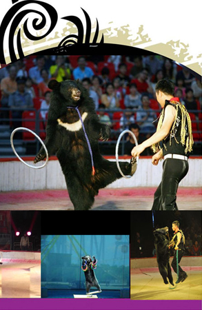 ���ܱ���